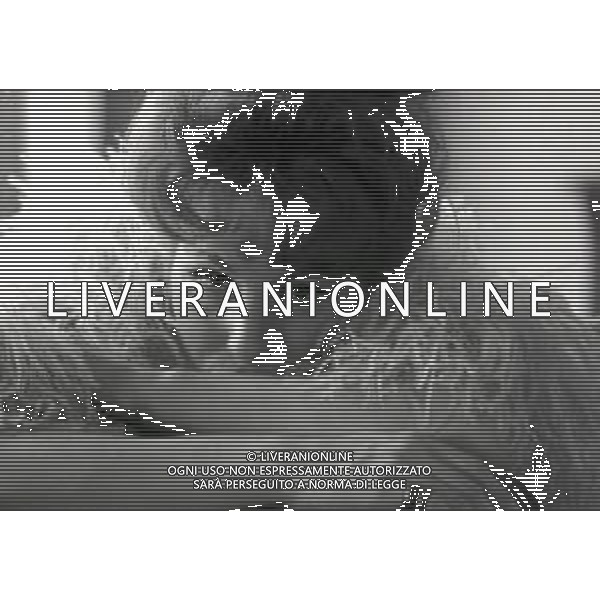 RETROSPETTIVA ORNELLA VANONI CANTANTE NELLA FOTO ORNELLA VANONI A NEW YORK NELL\'ANNO 1963 AG ALDO LIVERANI SAS