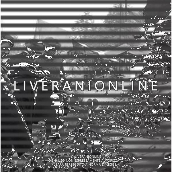 RETROSPETTIVA ORNELLA VANONI CANTANTE NELLA FOTO ORNELLA VANONI A MILANO NELL\'ANNO 1965 AG ALDO LIVERANI SAS