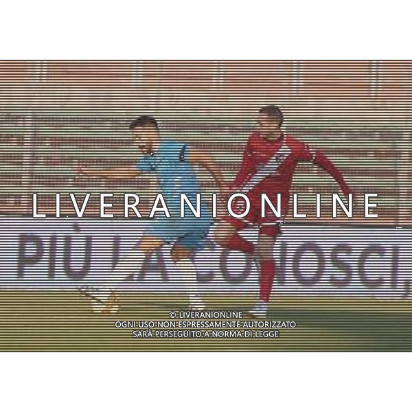 MANTOVA - AREZZO CAMPIONATO CALCIO SERIE C LEGA PRO 25.11.2020 NELLA FOTO BALDAN E SIMONE GANZ ©SANTANDREA /AGENZIA ALDO LIVERANI SAS
