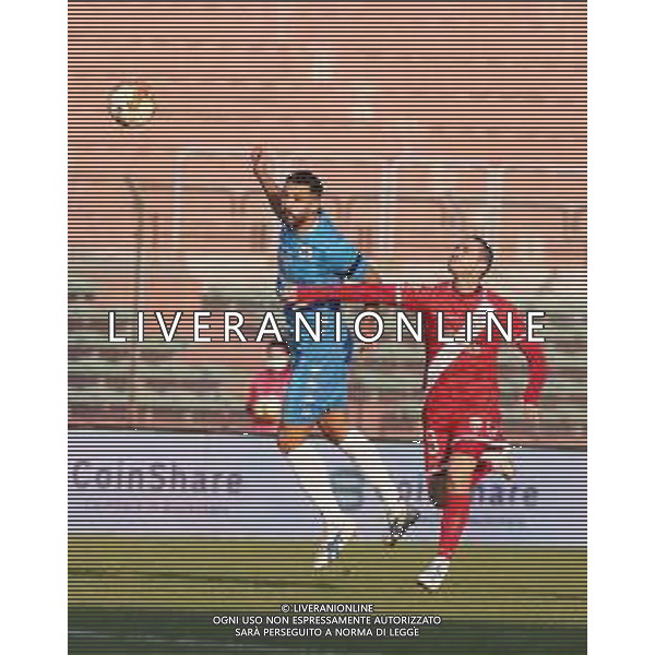 MANTOVA - AREZZO CAMPIONATO CALCIO SERIE C LEGA PRO 25.11.2020 NELLA FOTO CHERUBIN E SIMONE GANZ ©SANTANDREA /AGENZIA ALDO LIVERANI SAS