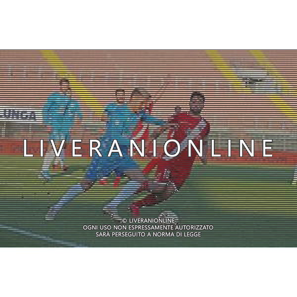 MANTOVA - AREZZO CAMPIONATO CALCIO SERIE C LEGA PRO 25.11.2020 NELLA FOTO DI PAOLANTONIO E GUCCIONE ©SANTANDREA /AGENZIA ALDO LIVERANI SAS