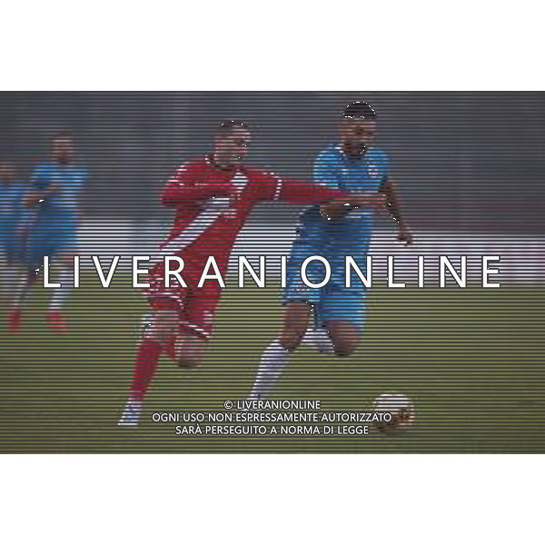 MANTOVA - AREZZO CAMPIONATO CALCIO SERIE C LEGA PRO 25.11.2020 NELLA FOTO SIMONE GANZ E CHERUBIN ©SANTANDREA /AGENZIA ALDO LIVERANI SAS