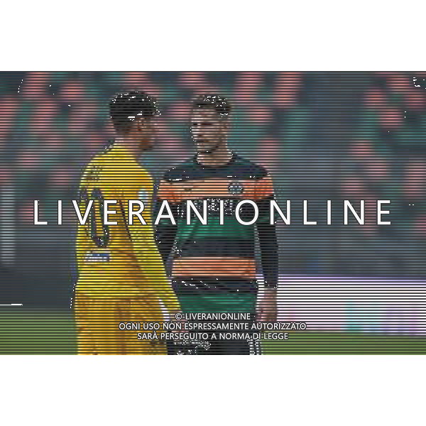 Venezia vs Ascoli - Italian Football Championship League BKT 2020/2021, 28 November 2020 Pier Luigi Penzo stadium, Venice, Italy Photo showing: Dario Saric (Ascoli) and Mattia Aramu (Venezia) @LM/Ettore Griffoni/ AGENZIA ALDO LIVERANI SAS