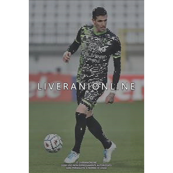 Kyle Lafferty (Reggina) Monza vs Reggina Campionato Serie BKT - 9a giornata Monza 28-11-2020 U-Power Stadium foto Roberto Garavaglia/ag.Aldo Liverani sas