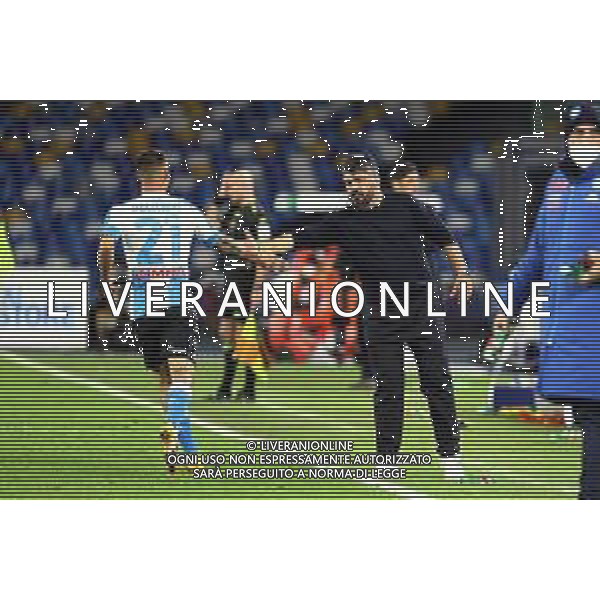 NAPOLI - ROMA CAMPIONATO CALCIO SERIE A TIM 29.11.2020 NELLA FOTO ESULTANZA DOPO IL GOL DI MATTEO POLITANO, CON GENNARO GATTUSO ©MOSCA/AGENZIA ALDO LIVERANI SAS