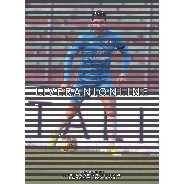 MANTOVA - AREZZO CAMPIONATO CALCIO SERIE C LEGA PRO 25.11.2020 NELLA FOTO BALDAN MARCO ©SANTANDREA /AGENZIA ALDO LIVERANI SAS