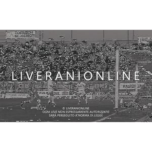 21-04-1991 CREMONA CAMPIONATO DI CALCIO SERIE B CREMONESE LUCCHESE 1-0 NELLA FOTO GOAL CREMONESE AG ALDO LIVERANI SAS