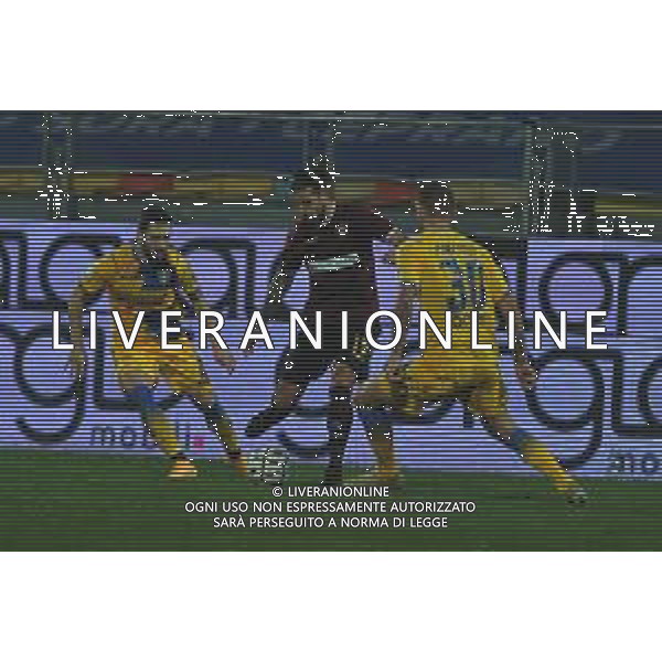 Frosinone vs Salernitana Campionato Serie B - 13 Giornata Stadio B.Stirpe - Frosinone 18-12-2020 nella foto Casasola tra Beghetto e Parzyszek FOTO FEDERICO GAETANO-AG ALDO LIVERANI SAS