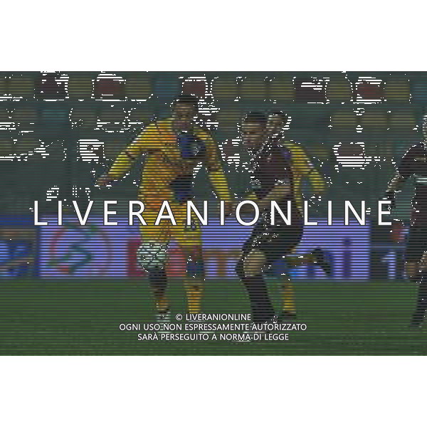 Frosinone vs Salernitana Campionato Serie B - 13 Giornata Stadio B.Stirpe - Frosinone 18-12-2020 nella foto Capezzi e Ciano FOTO FEDERICO GAETANO-AG ALDO LIVERANI SAS
