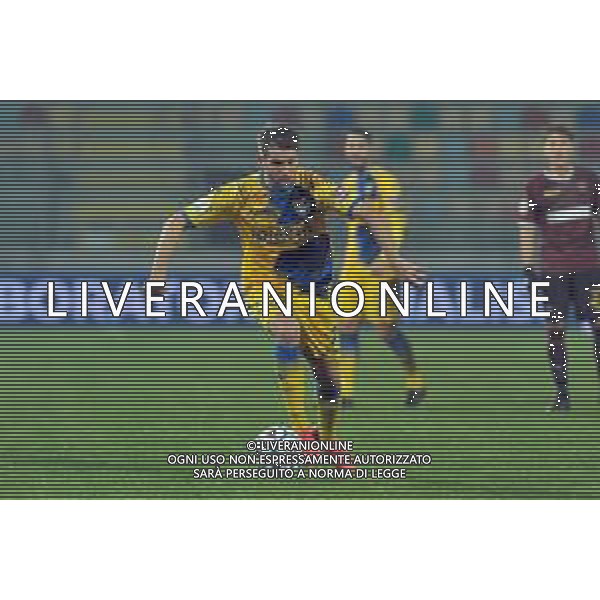 Frosinone vs Salernitana Campionato Serie B - 13 Giornata Stadio B.Stirpe - Frosinone 18-12-2020 nella foto Marcus Christer Rohden ©Federico Gaetano /AGENZIA ALDO LIVERANI SAS