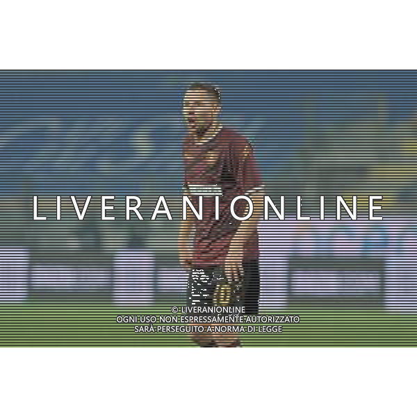 Frosinone vs Salernitana Campionato Serie B - 13 Giornata Stadio B.Stirpe - Frosinone 18-12-2020 nella foto Tomasz Kupisz ©Federico Gaetano /AGENZIA ALDO LIVERANI SAS