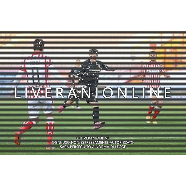 LiveMedia/Ettore Griffoni LR Vicenza vs Ascoli Calcio FC - Italian Football Championship League BKT 2020/2021, 19 December 2020 Romeo Menti stadium, vicenza, Italy Photo showing: Marcel Buchel (Ascoli) tries to score a goal @LM/Ettore Griffoni AG ALDO LIVERANI SAS