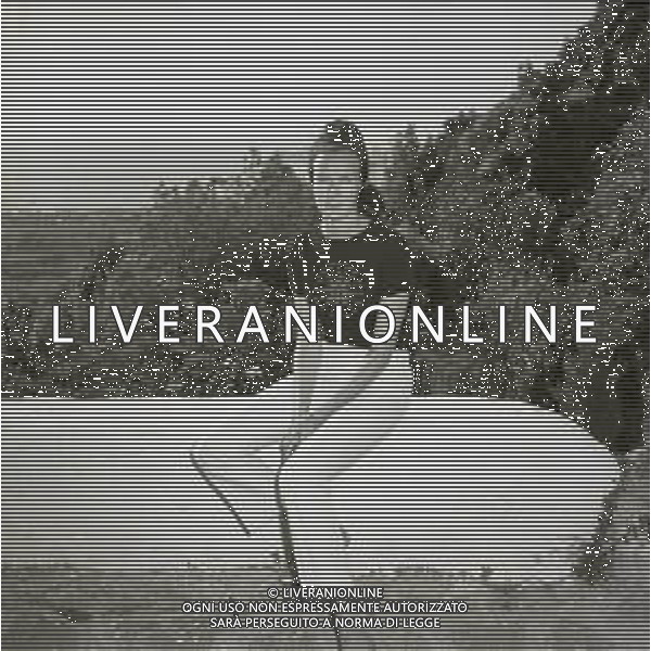 RETROSPETTIVA MARIA GABRIELLA DI SAVOIA NELLA FOTO MARIA GABRIELLA DI SAVOIA A ISCHIA NELL\'ANNO 1963 AG ALDO LIVERANI SAS  
