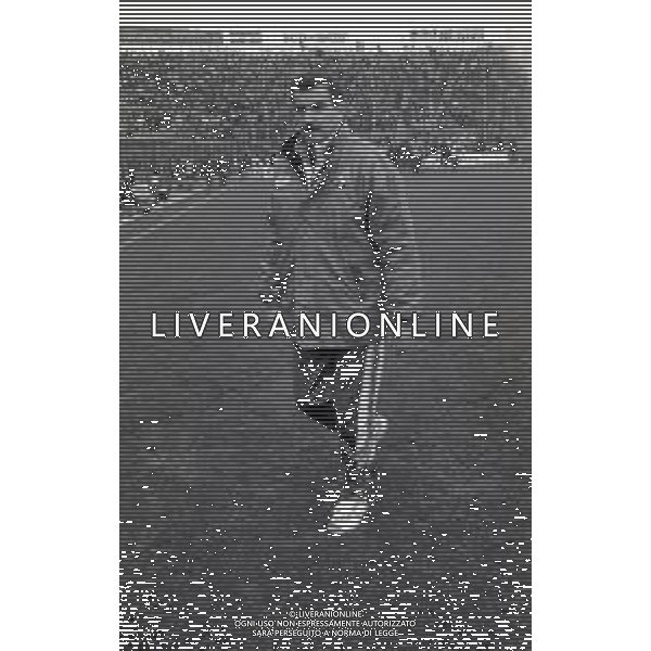 27-11-1994 BERGAMO CAMPIONATO DI CALCIO SERIE B ATALANTA VERONA 0-1 NELLA FOTO EMILIANO MONDONICO ALLENATORE ATALANTA CALCIO AG ALDO LIVERANI SAS