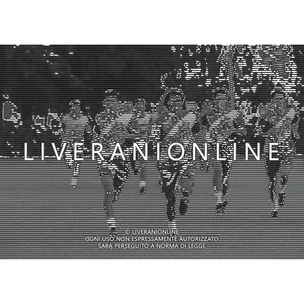 1994 COVERCIANO ALLENAMENTO NAZIONALE ITALIANA DI CALCIO NELLA FOTO CHRISTIAN PANUCCI-PAOLO MALDINI- NICOLA BERTI E DINO BAGGIO AG ALDO LIVERANI SAS