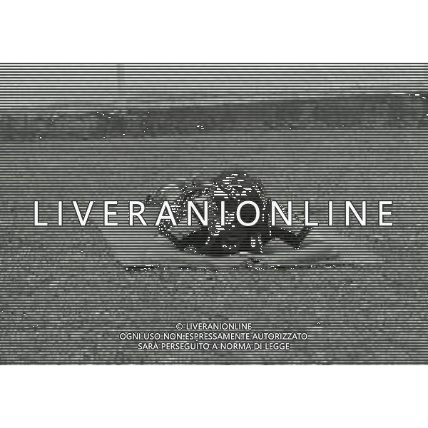 RETROSPETTIVA PIETRO ANASTASI CALCIATORE NELLA FOTO PIETRO ANASTASI IN RITIRO CON L\'INTER A SAN PELLEGRINO TERME NELL\'ANNO 1976 AG ALDO LIVERANI SAS