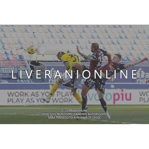 Bologna - Udinese Campionato di Calcio Serie A TIM 06/01/2021 nella foto: goal Roberto Pereyra(Udinese) ©Claudio Zamagni/Agenzia Aldo Liverani during Italian Serie A soccer match between BOLOGNA F.C. and UDINESE at Renato Dall\'Ara Stadium on January 06 2021 photo credit by Claudio Zamagni/Aldo Liverani Photo Agency/AG. ALDO LIVERANI SAS