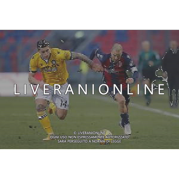 Bologna - Udinese Campionato di Calcio Serie A TIM 06/01/2021 nella foto: Micin Petar (Udinese)Palacio Rodrigo (Bologna f.c.) ©Claudio Zamagni/Agenzia Aldo Liverani during Italian Serie A soccer match between BOLOGNA F.C. and UDINESE at Renato Dall\'Ara Stadium on January 06 2021 photo credit by Claudio Zamagni/Aldo Liverani Photo Agency / AG. ALDO LIVERANI SAS