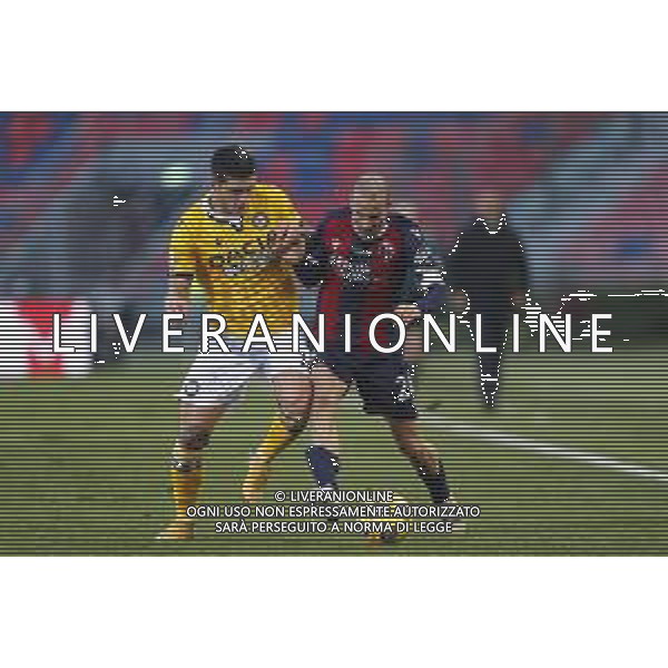 Bologna - Udinese Campionato di Calcio Serie A TIM 06/01/2021 nella foto: Micin Petar (Udinese)Palacio Rodrigo (Bologna f.c.) ©Claudio Zamagni/Agenzia Aldo Liverani during Italian Serie A soccer match between BOLOGNA F.C. and UDINESE at Renato Dall\'Ara Stadium on January 06 2021 photo credit by Claudio Zamagni/Aldo Liverani Photo Agency/ AG. ALDO LIVERANI SAS