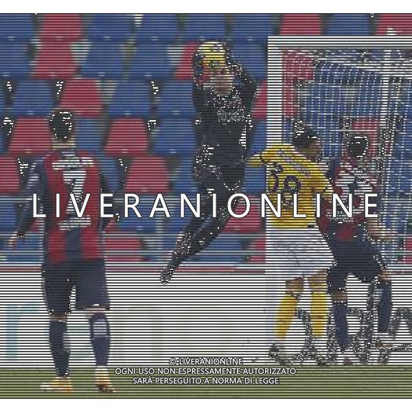 Bologna - Udinese Campionato di Calcio Serie A TIM 06/01/2021 nella foto: Da Costa Esmael Angelo (Bologna f.c.) ©Claudio Zamagni/Agenzia Aldo Liverani Da Costa Esmael Angelo (Bologna f.c.)during Italian Serie A soccer match between BOLOGNA F.C. and UDINESE at Renato Dall\'Ara Stadium on January 06 2021 photo credit by Claudio Zamagni/Aldo Liverani Photo Agency