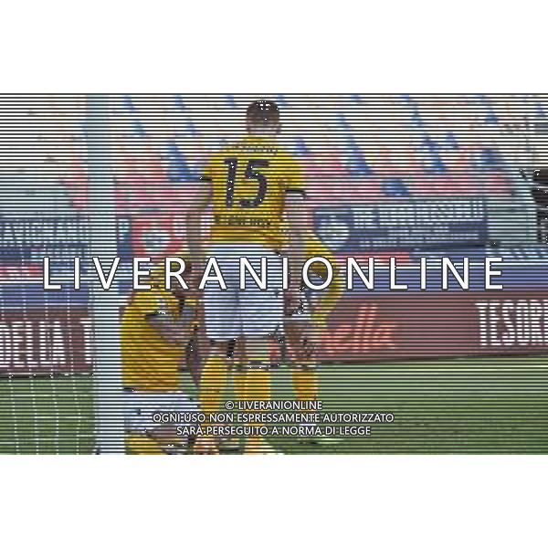 BOLOGNA - UDINESE Campionato di Calcio Serie A TIM 06.01.2021 NELLA FOTO INFORTUNIO A ROBERTO PEREYRA DOPO IL GOAL ©ROBERTO VILLANI / AG. ALDO LIVERANI SAS
