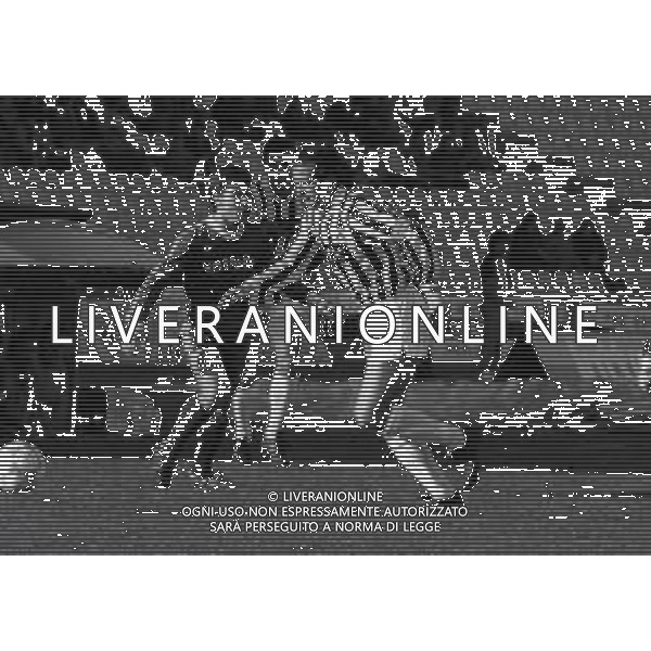 10-01-1988 UDINE CAMPIONATO DI CALCIO SERIE B UDINESE AREZZO 1-1 NELLA FOTO GIUSEPPE DOSSENA AG ALDO LIVERANI SAS