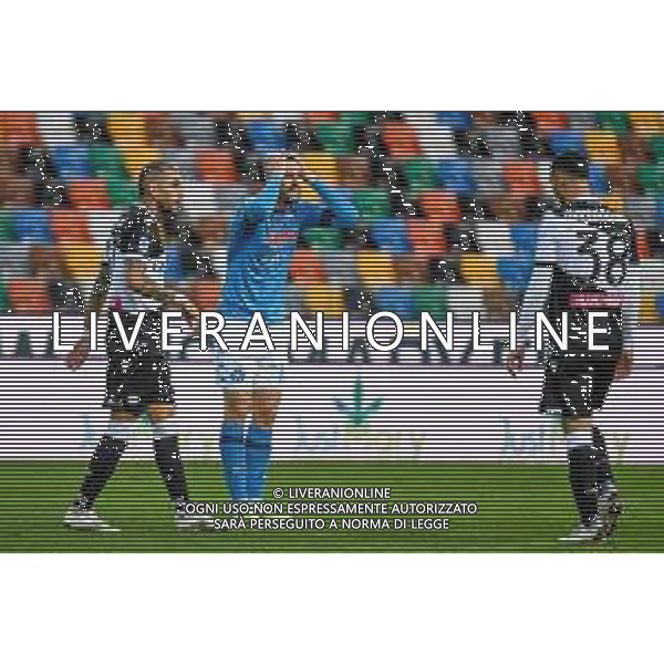 Ettore Griffoni/LM - Udinese Calcio vs SSC Napoli - Italian football Serie A match 2020/2021 10 January 2021 - Friuli Dacia Arena stadium, udine, Italy Photo showing: Disappointment, frustration of Fernando Llorente (Napoli) @LM/Ettore Griffoni AG ALDO LIVERANI SAS