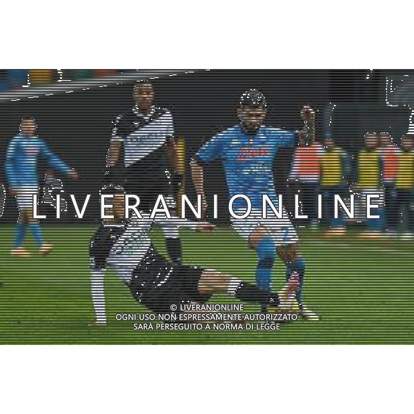 Ettore Griffoni/LM - Udinese Calcio vs SSC Napoli - Italian football Serie A match 2020/2021 10 January 2021 - Friuli Dacia Arena stadium, udine, Italy Photo showing: Ilija Nestorovski (Udinese) tries to stop Elseid Hysaj (Napoli) @LM/Ettore Griffoni AG ALDO LIVERANI SAS