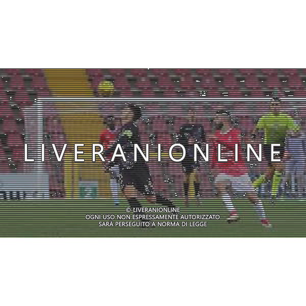 TRIESTINA - FANO CAMPIONATO CALCIO SERIE C LEGA PRO 10.01.2021 NELLA FOTO CARPANI GIANLUCA ©/AGENZIA ALDO LIVERANI SAS