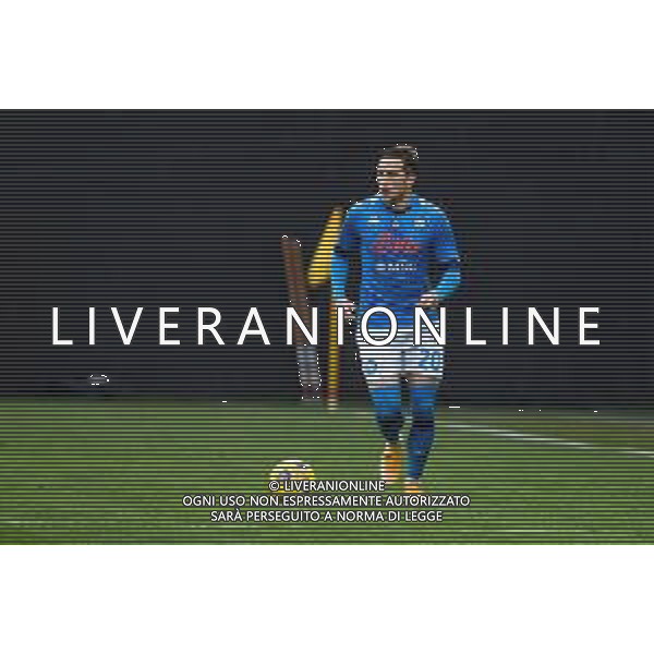 Ettore Griffoni/LM - Udinese Calcio vs SSC Napoli - Italian football Serie A match 2020/2021 10 January 2021 - Friuli Dacia Arena stadium, udine, Italy Photo showing: Piotr Zielinski (Napoli) portrait @LM/Ettore Griffoni AG ALDO LIVERANI SAS