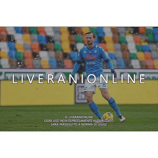 Ettore Griffoni/LM - Udinese Calcio vs SSC Napoli - Italian football Serie A match 2020/2021 10 January 2021 - Friuli Dacia Arena stadium, udine, Italy Photo showing: Fabian Ruiz (Napoli) portrait @LM/Ettore Griffoni AG ALDO LIVERANI SAS