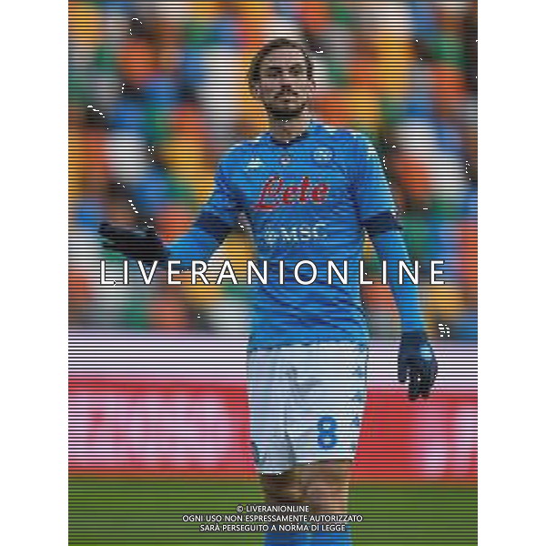 Ettore Griffoni/LM - Udinese Calcio vs SSC Napoli - Italian football Serie A match 2020/2021 10 January 2021 - Friuli Dacia Arena stadium, udine, Italy Photo showing: Fabian Ruiz (Napoli) portrait @LM/Ettore Griffoni AG ALDO LIVERANI SAS