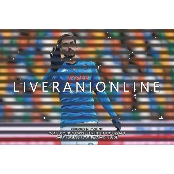 Ettore Griffoni/LM - Udinese Calcio vs SSC Napoli - Italian football Serie A match 2020/2021 10 January 2021 - Friuli Dacia Arena stadium, udine, Italy Photo showing: Fabian Ruiz (Napoli) portrait @LM/Ettore Griffoni AG ALDO LIVERANI SAS