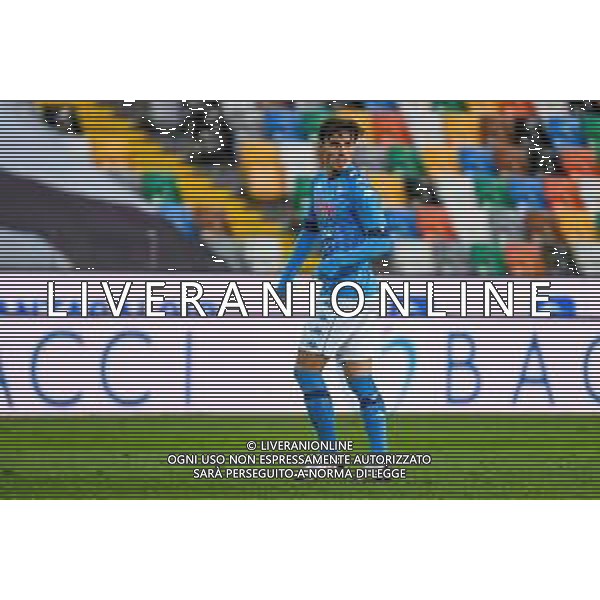 Ettore Griffoni/LM - Udinese Calcio vs SSC Napoli - Italian football Serie A match 2020/2021 10 January 2021 - Friuli Dacia Arena stadium, udine, Italy Photo showing: Eljif Elmas (Napoli) portrait @LM/Ettore Griffoni AG ALDO LIVERANI SAS