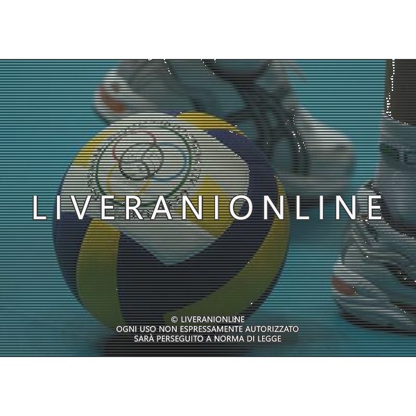 LIVORNO,26 AGOSTO 2005 VOLLEY FEMMINILE QUADRANGOLARE INTERNAZIONALE \'CITTA\' DI LIVORNO\' PARTITA ITALIA-CROAZIA NELLA FOTO: PALLONE FOTO BIZZI-A.LIVERANI