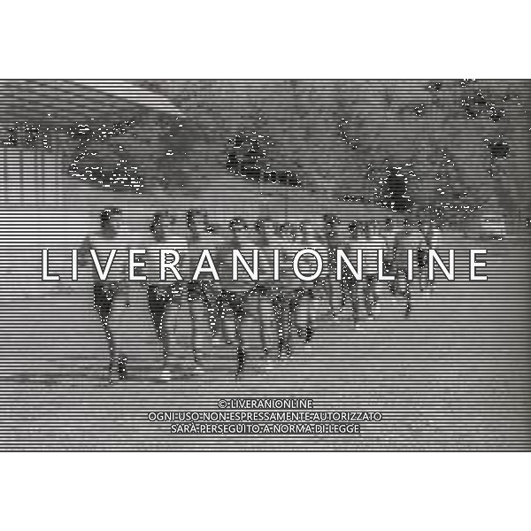 1983 SESTOLA ALLENAMENTO BOLOGNA CALCIO NELLA FOTO ALLENAMENTO BOLOGNA CALCIO AG ALDO LIVERANI SAS
