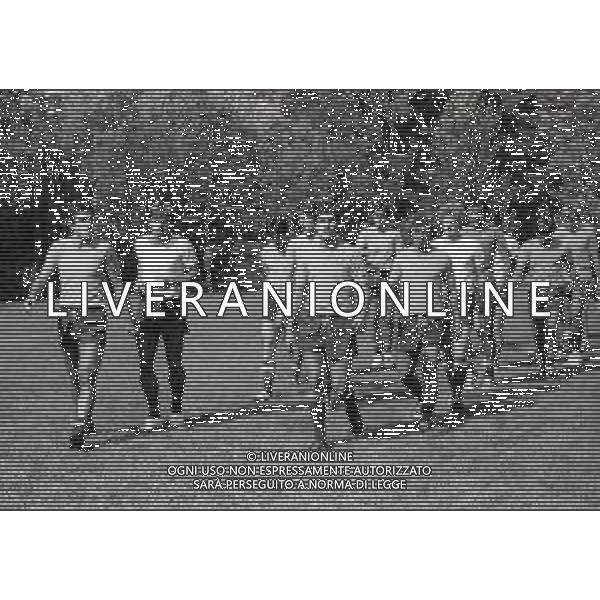 1983 SESTOLA ALLENAMENTO BOLOGNA CALCIO NELLA FOTO ALLENAMENTO BOLOGNA CALCIO AG ALDO LIVERANI SAS