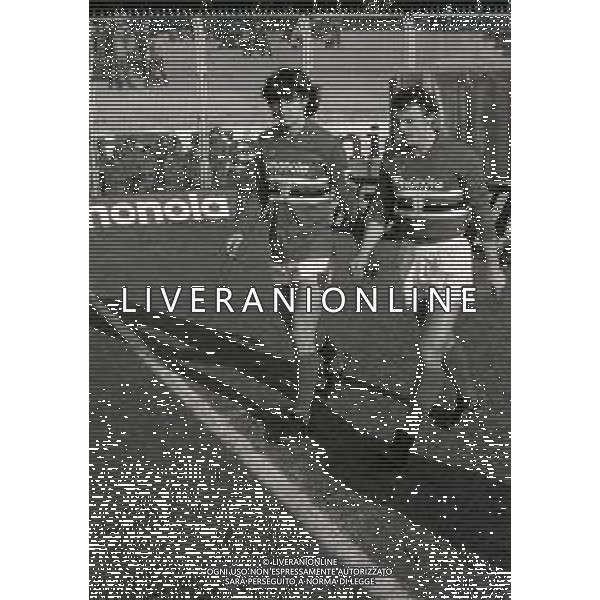29-01-1984 GENOVA CAMPIONATO DI CALCIO SERIE A SAMPDORIA CATANIA 2-0 NELLA FOTO NICOLA ZANONE E PIETRO VIERCHOWOD AG ALDO LIVERANI SAS