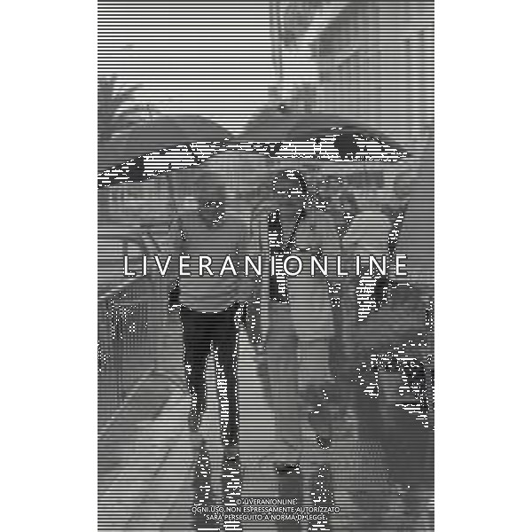 RETROSPETTIVA UGO TOGNAZZI ATTORE NELLA FOTO UGO TOGNAZZI CON DINO RISI A CANNES NELL\'ANNO 1977 AG ALDO LIVERANI SAS