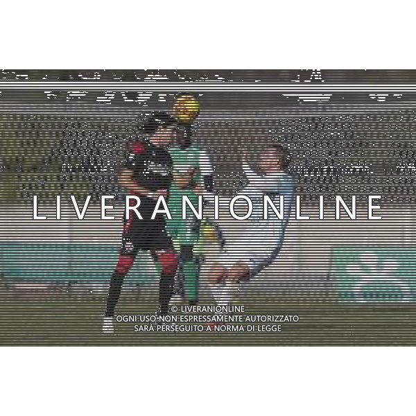 Legnago Salus - Vis Pesaro Campionato di Calcio serie C del 24/01/2021 - nella foto: Gennari Mattia (vis pesaro) ©Claudio Zamagni/Agenzia Aldo Liverani s.a.s. /AGENZIA ALDO LIVERANI SAS