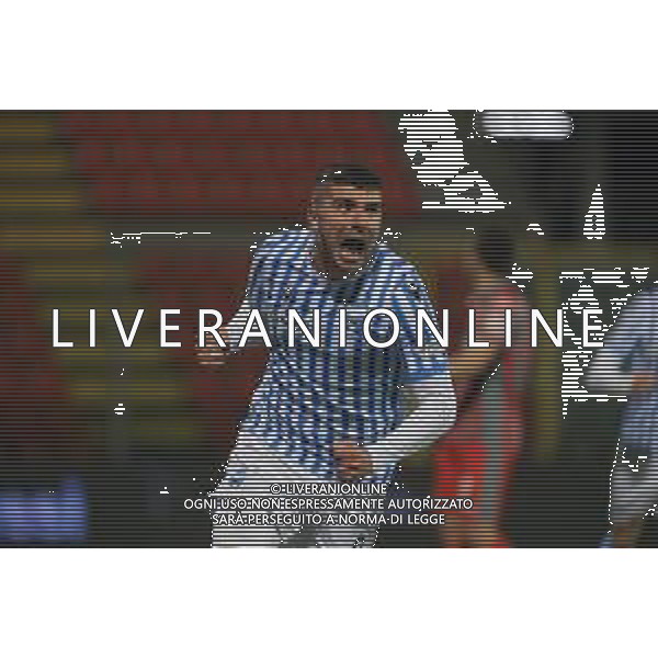 Massimiliano Carnabuci/LM - US Cremonese vs SPAL - Italian Football Championship League BKT 2020/2021 24 January 2021 - Giovanni Zini stadium, cremona, Italy Photo showing: Alberto Paloschi (Spal) celebrates the goal @LM/Massimiliano Carnabuci/AGENZIA ALDO LIVERANI SAS