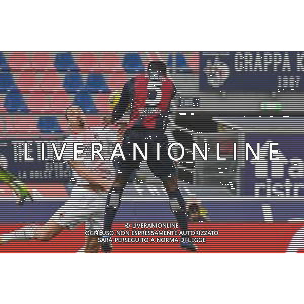 BOLOGNA - MILAN CAMPIONATO CALCIO SERIE A TIM 30.01.2021 NELLA FOTO ZLATAN IBRAHIMOVIC - il fallo di mano di Adama Soumaoro ©VILLANI/AGENZIA ALDO LIVERANI SAS