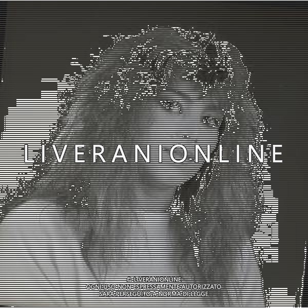 RETROSPETTIVA MARINA OCCHIENA CANTANTE NELLA FOTO MARINA OCCHIENA NELL\'ANNO 1982 A MILANO AG ALDO LIVERANI SAS  