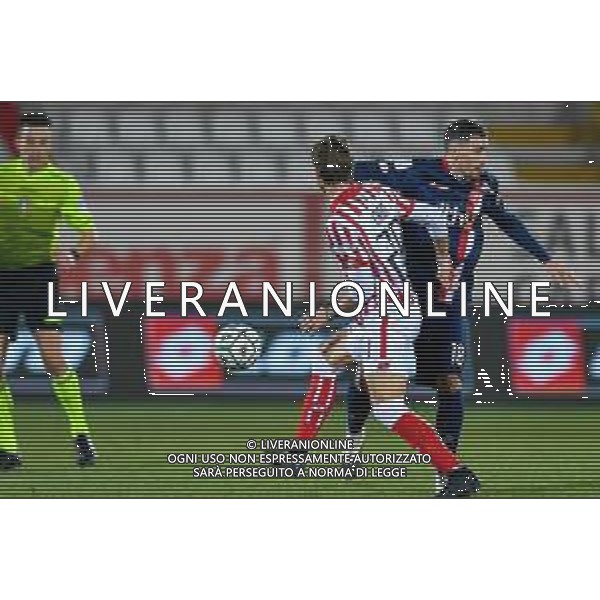 Alessio Marini/LM - Vicenza vs Monza - Italian Football Championship League BKT 2020/2021 09 February 2021 - vicenza, Italy Photo showing: faul of Davide Bettella (AC Monza @LM/Alessio Marini/AGENZIA ALDO LIVERANI SAS