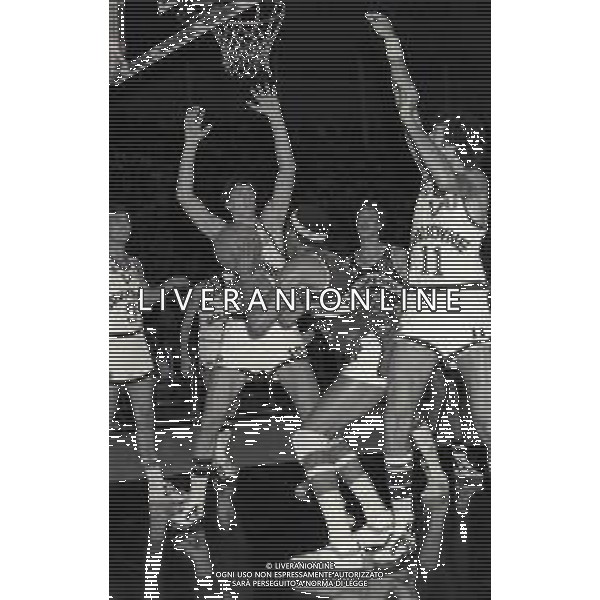 19-10-1980 BOLOGNA CAMPIONATO DI BASKET SERIE A1 SINUDYNE BOLOGNA-HURLINGHAM TRIESTE 85-78 NELLA FOTO RENATO VILLALTA AG ALDO LIVERANI SAS