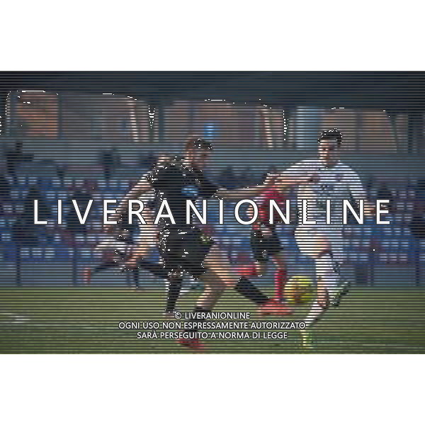 VIRTUS VERONA - RAVENNA CAMPIONATO CALCIO SERIE C LEGA PRO 17.02.2021 NELLA FOTO CRISTIAN SHIBA E ZARPELLON LEONARDO ©SANTANDREA/AGENZIA ALDO LIVERANI SAS