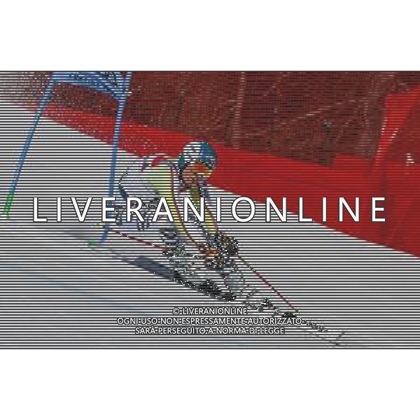 Luca Tedeschi/LM - 2021 FIS Alpine World SKI Championships - Giant Slalom - Men - alpine ski race 19 February 2021 - Labirinti, cortina (bl), Italy Photo showing: Alexander SCHMID (GER) @LM/Luca Tedeschi AG ALDO LIVERANI SAS