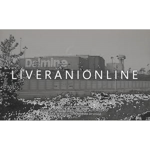 1986 ACCIAIERIE DALMINE NELLA FOTO LE ACCIAIERIE DALMINE AG ALDO LIVERANI SAS