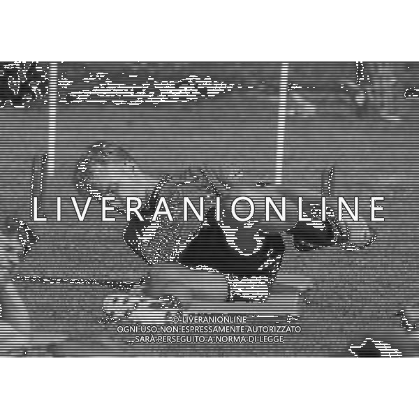 1995 APPIANO GENTILE ALLENAMENTO INTER NELLA FOTO DENNIS BERGKAMP AG ALDO LIVERANI SAS  