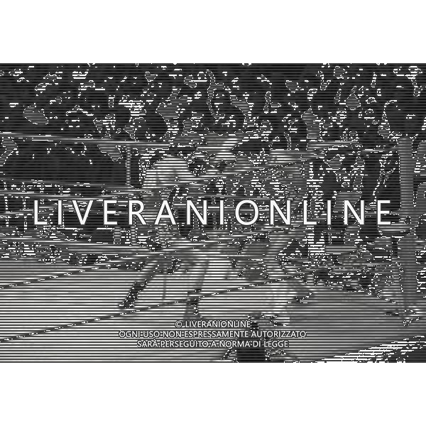 RETROSPETTIVA PATRIZIO OLIVA PUGILE NELLA FOTO PATRIZIO OLIVA ALLE OLIMPIADI DI MOSCA 1980 AG ALDO LIVERANI SAS